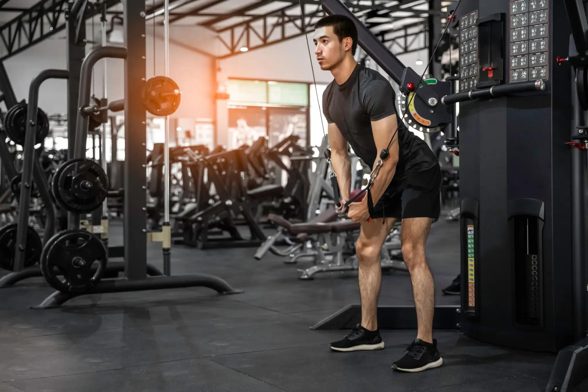 Calisthenics for Beginners: Ultimate Guide